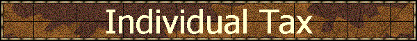 Individual Tax